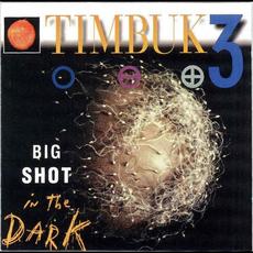 Big Shot in the Dark mp3 Album by Timbuk 3