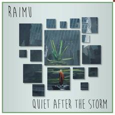 Quiet After the Storm mp3 Single by Raimu
