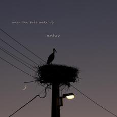 When The Birds Wake Up mp3 Single by Enluv & Palpal