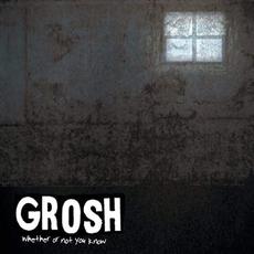 Whether Or Not You Know mp3 Album by Grosh