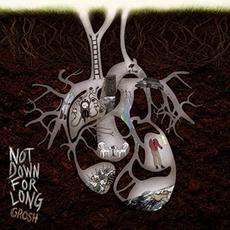 Not Down For Long mp3 Album by Grosh