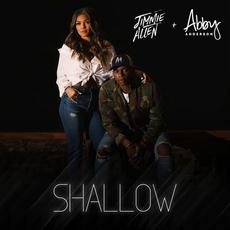Shallow mp3 Single by Jimmie Allen