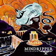 Anamnesis mp3 Album by Mindripper