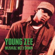 Musical Meltdown mp3 Album by Young Zee