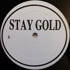 Stay Gold mp3 Single by Young Zee