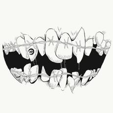 Crooked Teeth mp3 Single by Falsifier