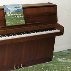 The Sophtware Slump ..... on a wooden piano mp3 Album by Grandaddy