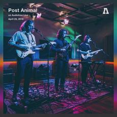 Post Animal on Audiotree Live mp3 Live by Post Animal