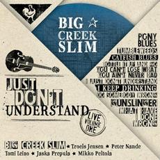 Just Don't Understand mp3 Live by Big Creek Slim