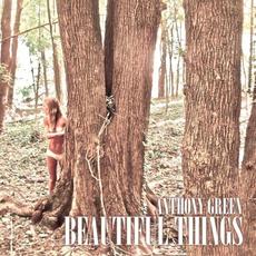 Beautiful Things (Deluxe Edition) mp3 Album by Anthony Green