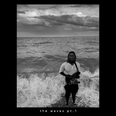 The Waves Pt. 1 mp3 Album by Kele Okereke