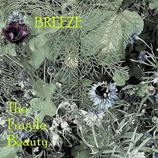 The Fragile Beauty mp3 Album by Breeze
