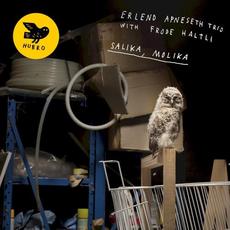 Salika, Molika mp3 Album by Erlend Apneseth Trio With Frode Haltli
