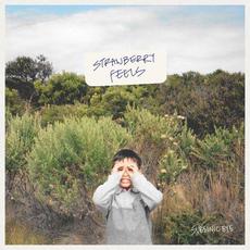 Strawberry Feels mp3 Album by Subsonic Eye