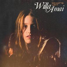 What's Up? mp3 Single by Willa Amai