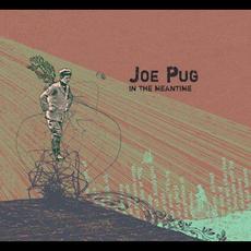 In the Meantime mp3 Album by Joe Pug