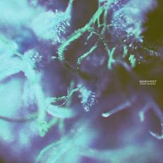 Flesh Tendrils mp3 Album by Handwrist
