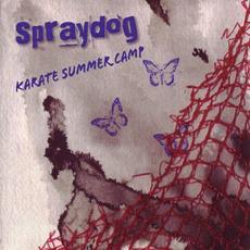 Karate Summer Camp mp3 Album by Spraydog