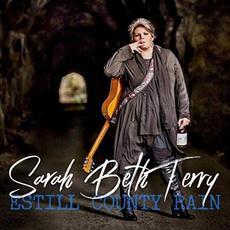 Estill County Rain mp3 Album by Sarah Beth Terry