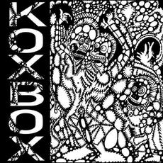 Acid Vol. 3 / Birdy mp3 Single by Koxbox