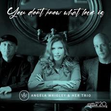 You Don't Know What Love Is mp3 Album by Angela Wrigley