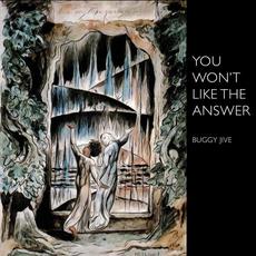 You Won't Like the Answer mp3 Album by Buggy Jive