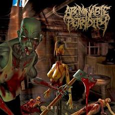 Demolisher mp3 Artist Compilation by Abominable Putridity