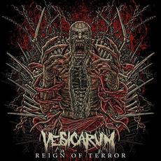 Reign of Terror mp3 Album by Vesicarum
