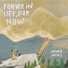 Forever in Life, for Now mp3 Album by Joshua James