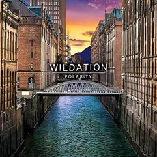 Polarity mp3 Album by Wildation