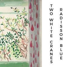 Radisson Blue mp3 Album by two white cranes