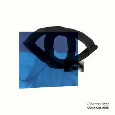 Camouflage mp3 Album by Coma Culture
