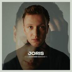 Willkommen Goodbye mp3 Album by Joris