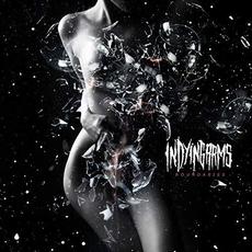 Boundaries mp3 Album by In Dying Arms
