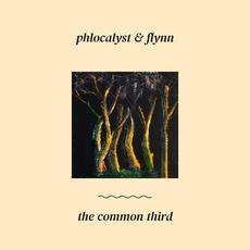 The Common Third mp3 Album by Phlocalyst & FLYNN