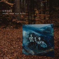 Drawn From Deep Water mp3 Album by Gnoss