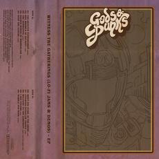 Witness the Gatherings mp3 Album by Gods & Punks
