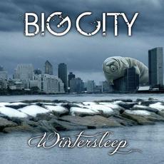Wintersleep mp3 Album by Big City