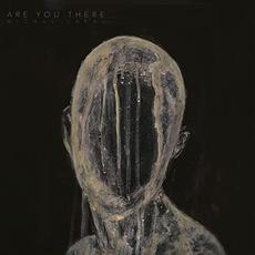 Are You There mp3 Album by Michal Lapaj