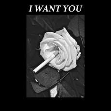 I Want You mp3 Single by Inhaler