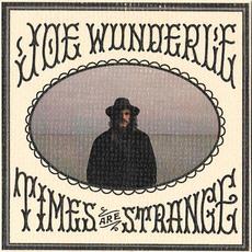 Times are Strange mp3 Album by Joe Wunderle