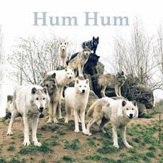 Blueberries mp3 Album by Hum Hum