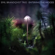 Entering The Woods mp3 Album by Emil Brandqvist Trio