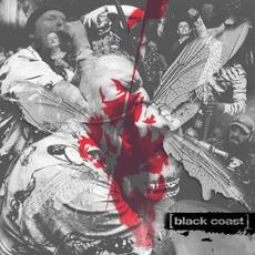 A Place for My Head mp3 Single by Black Coast (2)