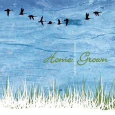 When It All Comes Down mp3 Album by Home Grown