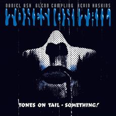 Something! mp3 Album by Tones On Tail