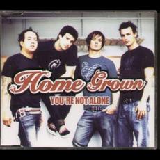 You're Not Alone mp3 Single by Home Grown