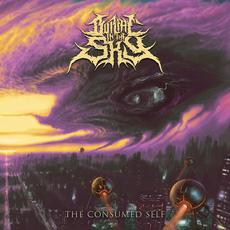 The Consumed Self mp3 Album by Burial in the Sky