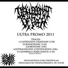 Ultra Promo mp3 Album by Disfigurement Of Flesh