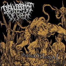 Promotional CD mp3 Album by Disfigurement Of Flesh